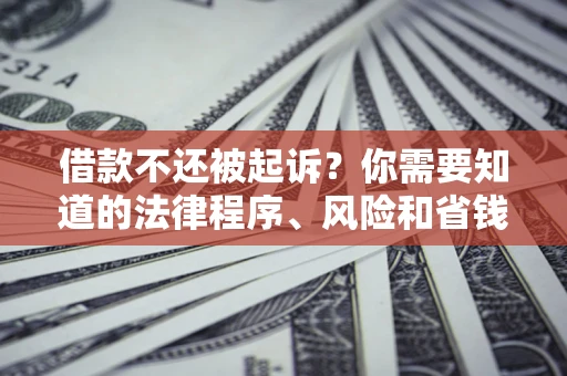 济南借款不还被起诉？你需要知道的法律程序、风险和省钱技巧